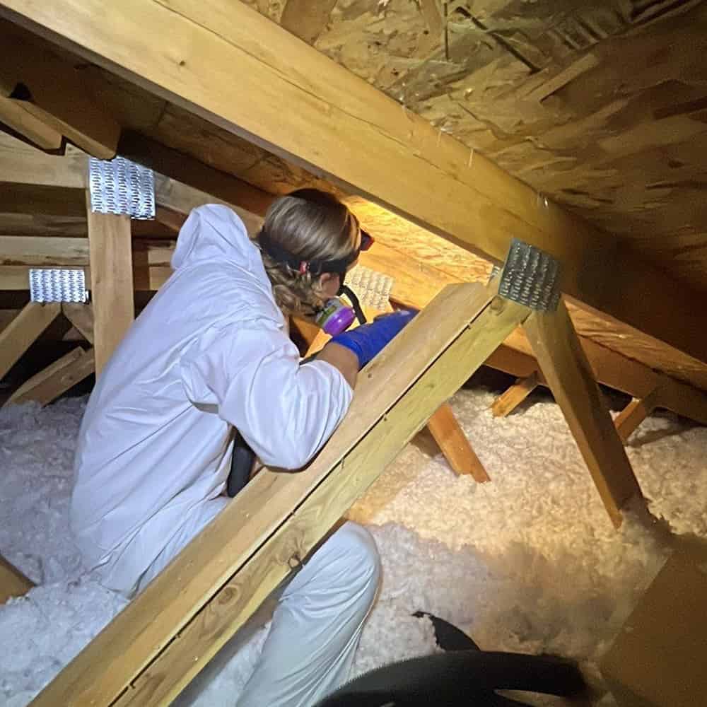 water damage inspection