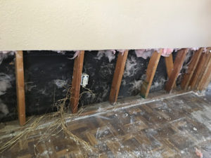 water damage cleanup red truck boise id