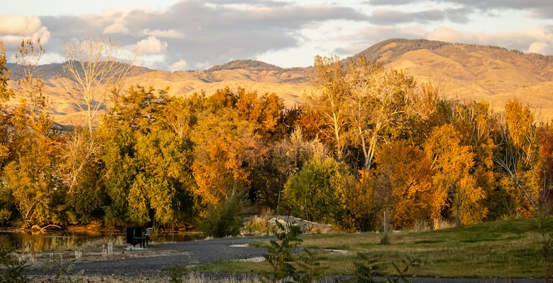 Trees near the river in a Boise park with mountains in the background.