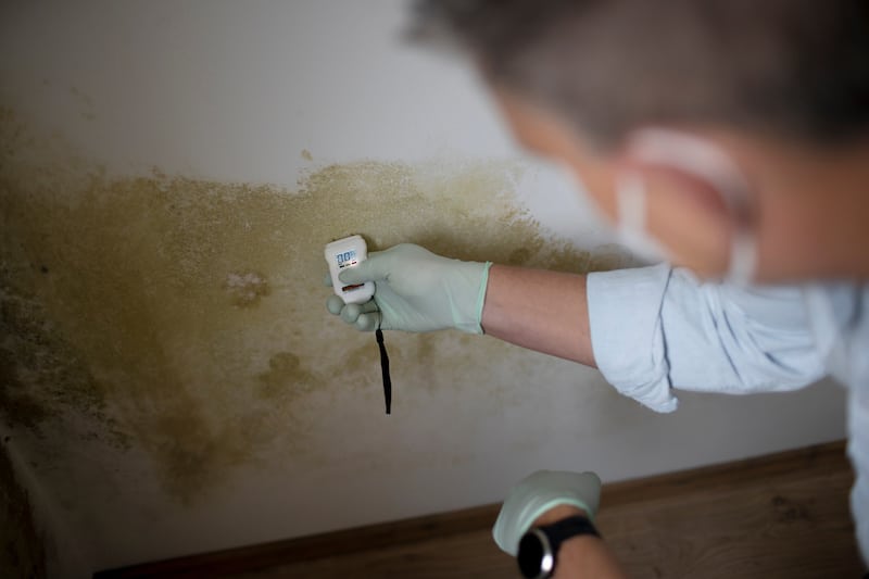 Man with nose mouth protection measures the moisture level on a wall with mold in an apartment