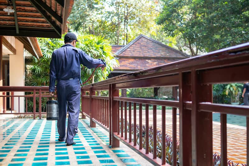 exterminate termite control company employee is using a termite sprayer at customer's house and searching for termite nests to eliminate. exterminate control worker spraying chemical insect repellant