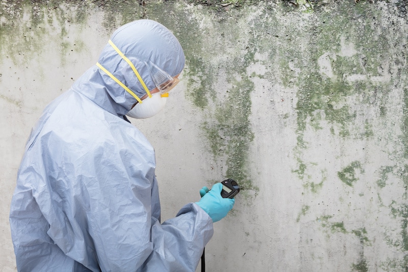 Close-up Of A Pest Control Worker Standing In Front Of Damaged Wall