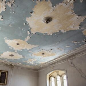 Peeling Ceiling Paint