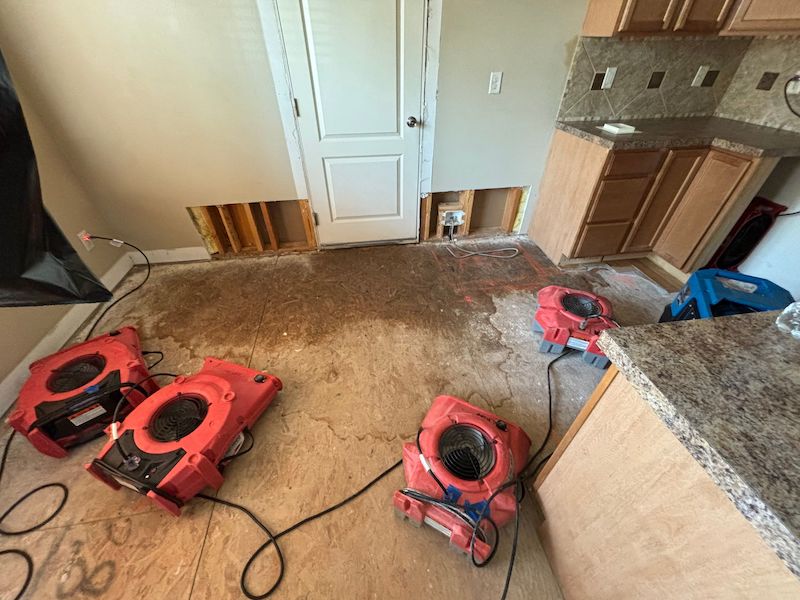 Drying out after water damage