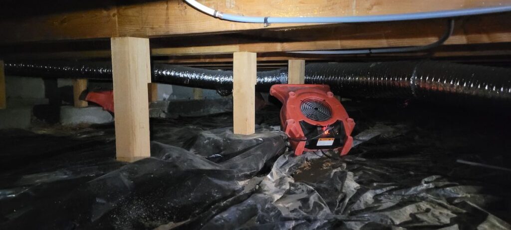 Feature Meridian Water Damage under house