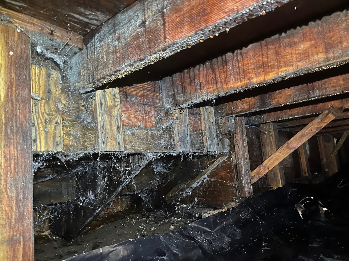 Check for water source roof leaks