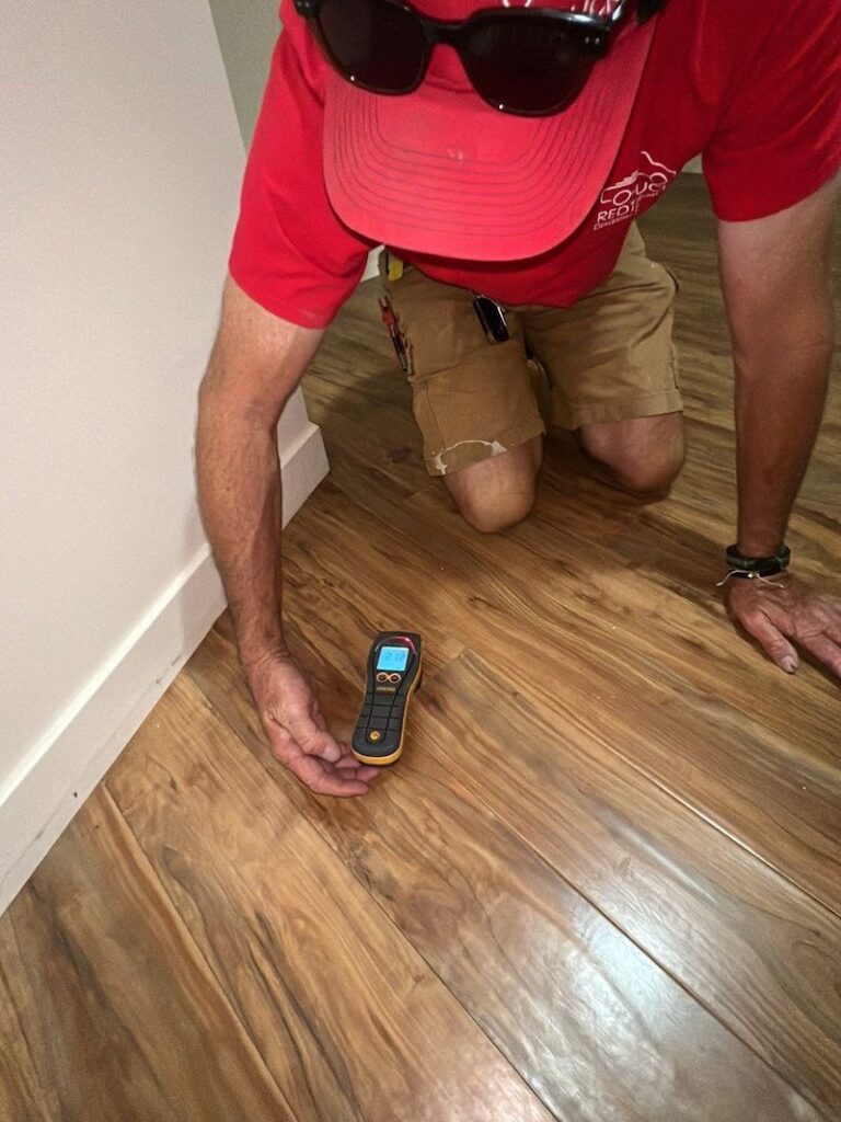 Hidden Water Damage Moisture Detecting
