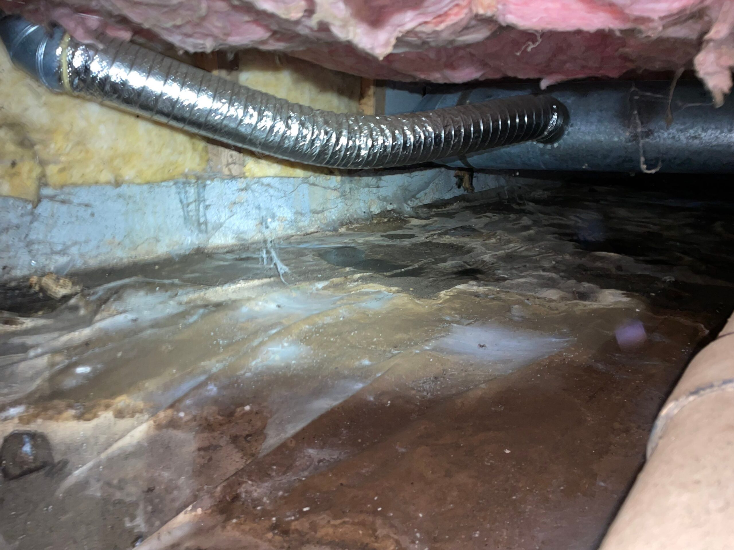 Standing water sources of water intrusion
