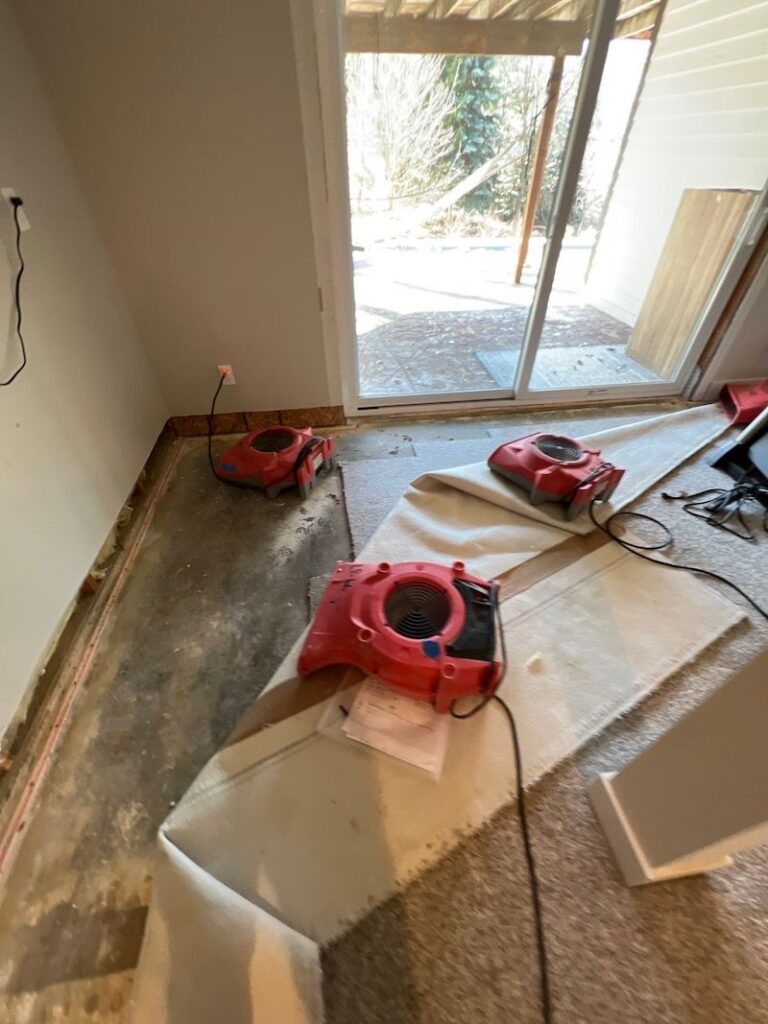 Water Damage Repair