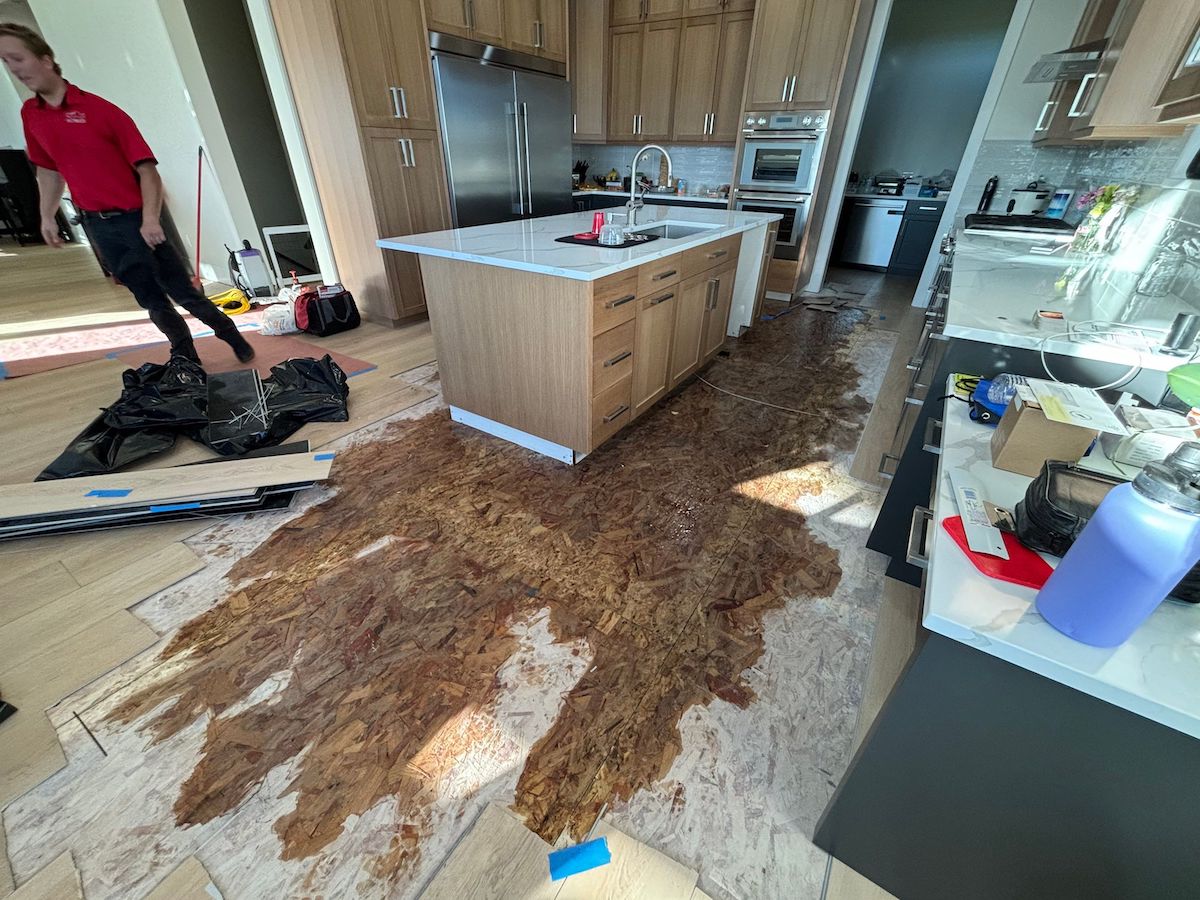 water damage on a subfloor