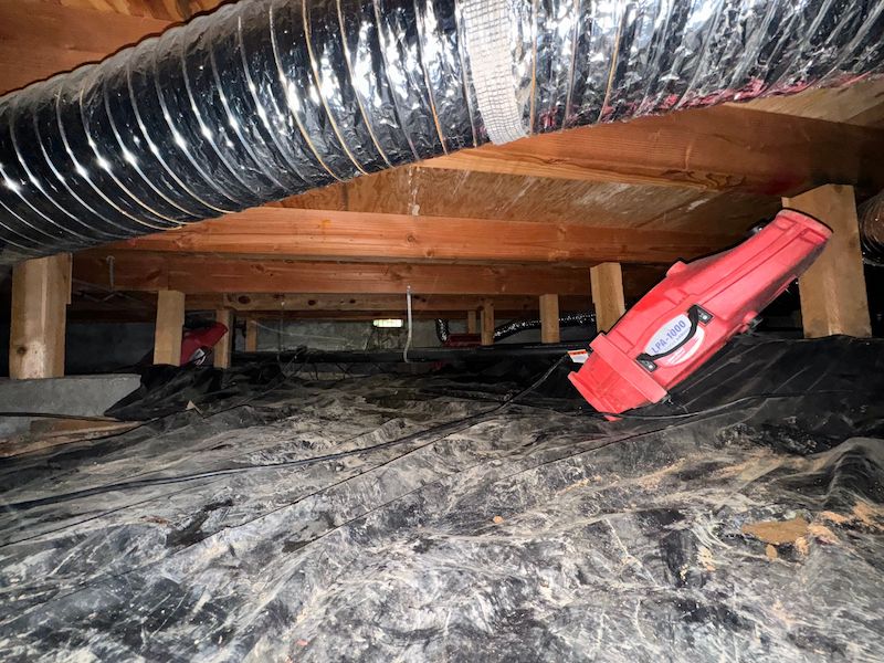 crawl space moisture removal techniques