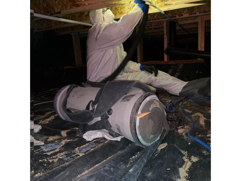 equipment and toxic mold removal
