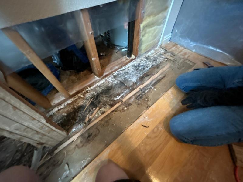 what is water restoration?