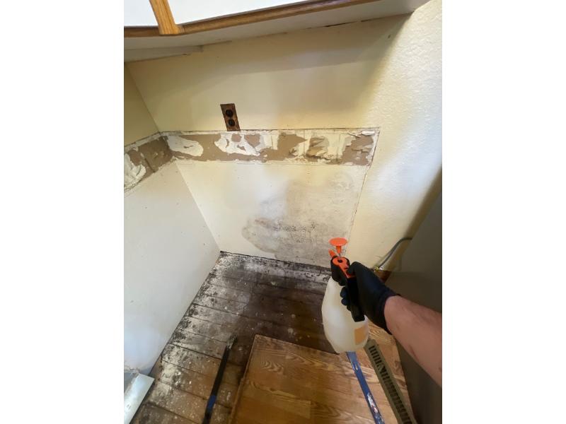 water restoration mold