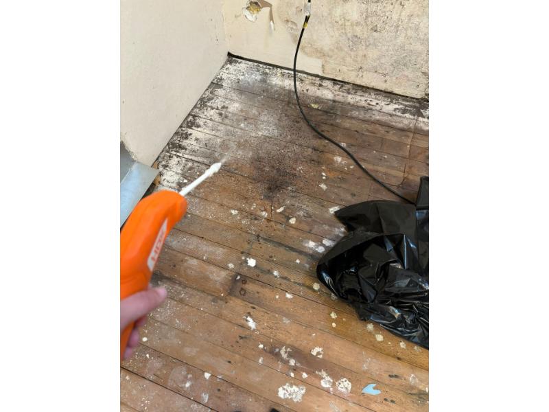 mold water restoration