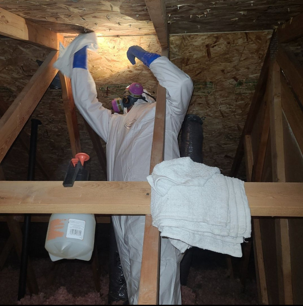 Attic Roof Leaks