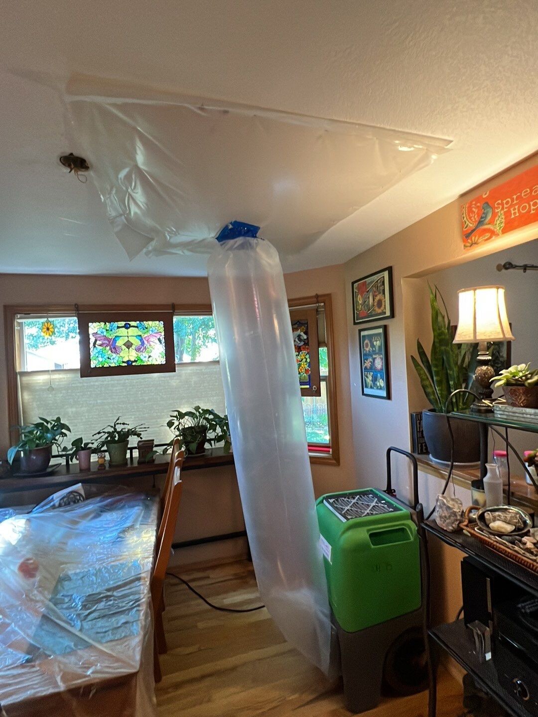 Roof and ceiling leaks