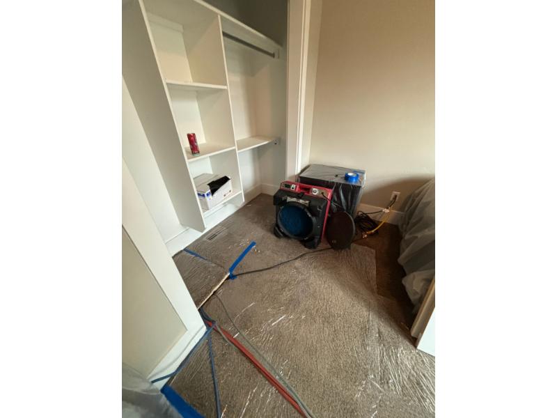 repair floorboards from water damage