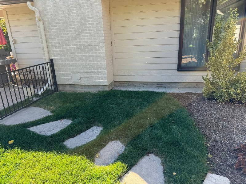 Drainage Issues Water Damage