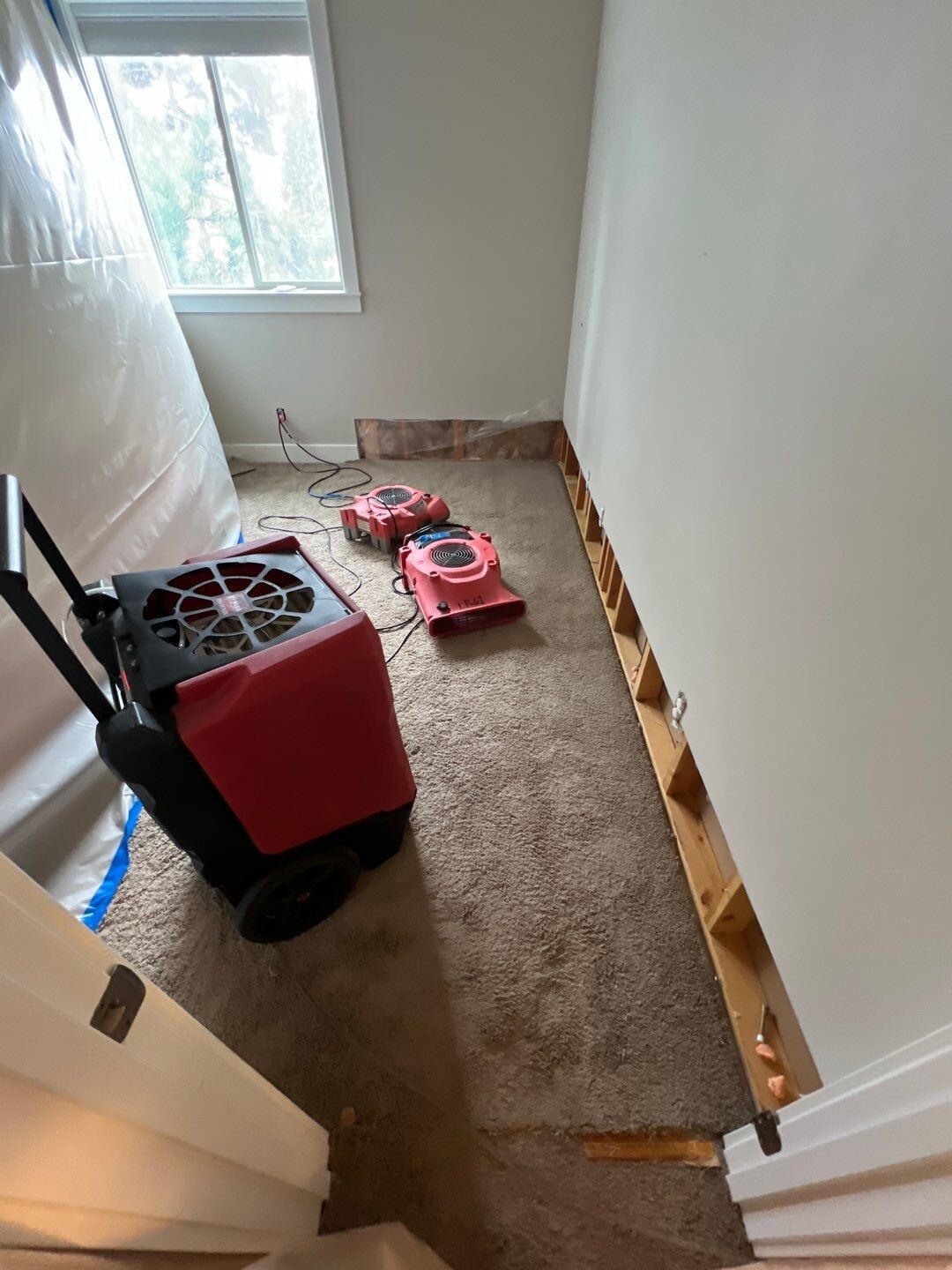 Roof Leaks Can Cause Damage Throughout your House