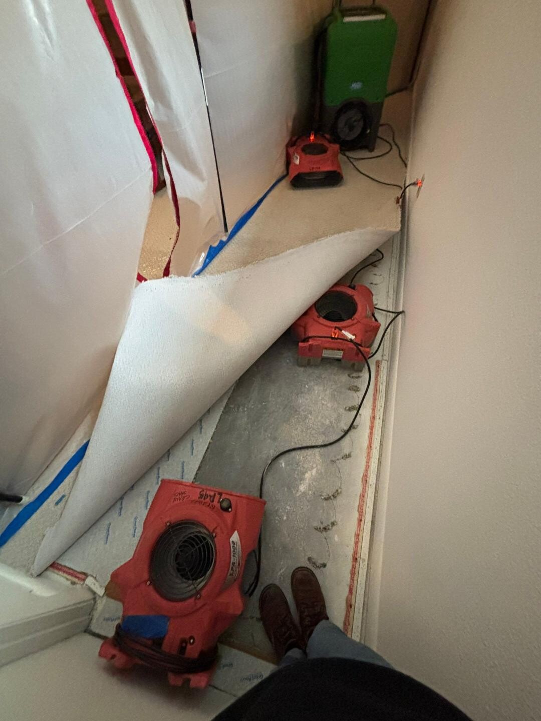 dryers for mitigation