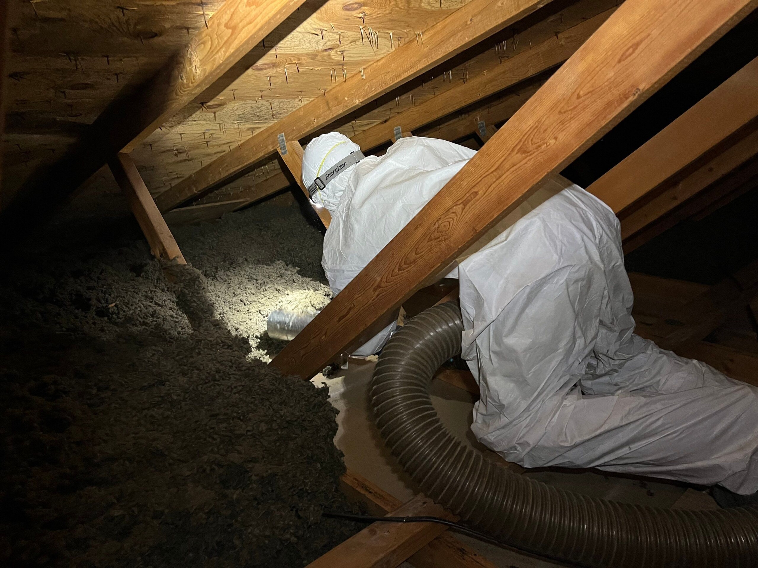 Attic Mitigation Red Truck Wearing PPE