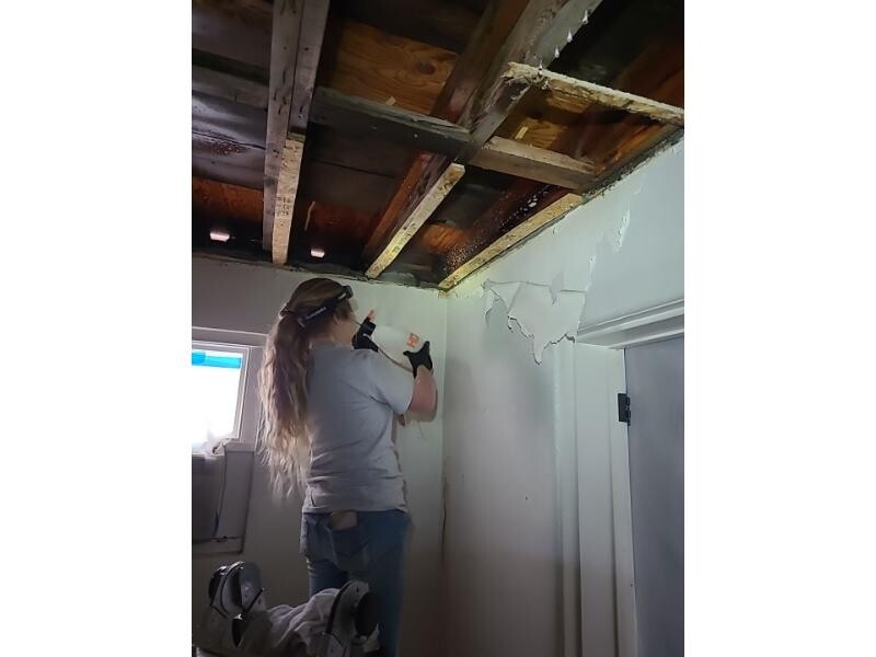 mold inspection detection