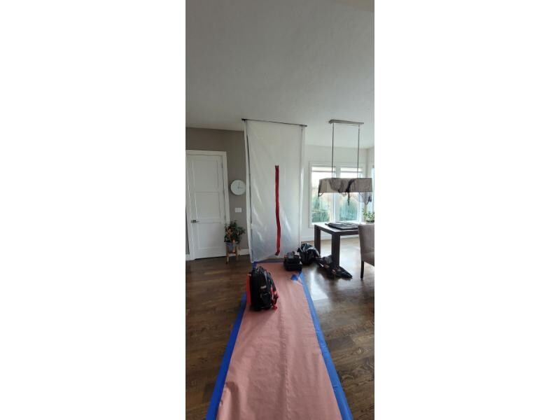 mold odor mold inspection
