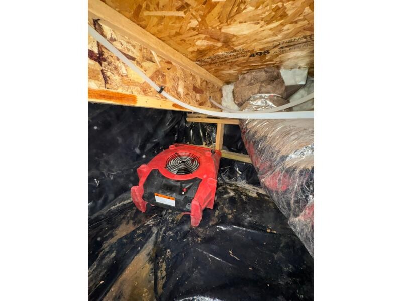 Crawlspace Hern1