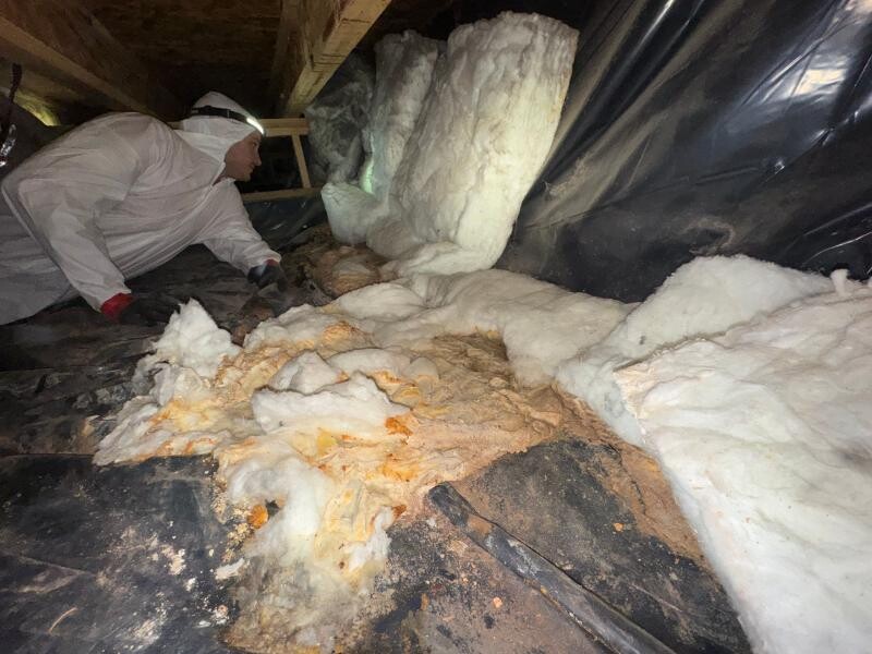 Crawlspace Inspection Hern