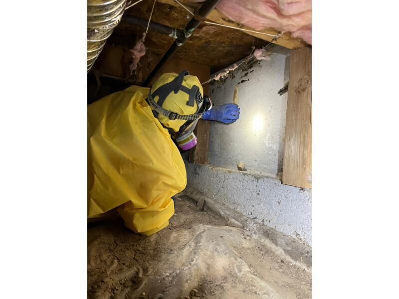PPE crawl