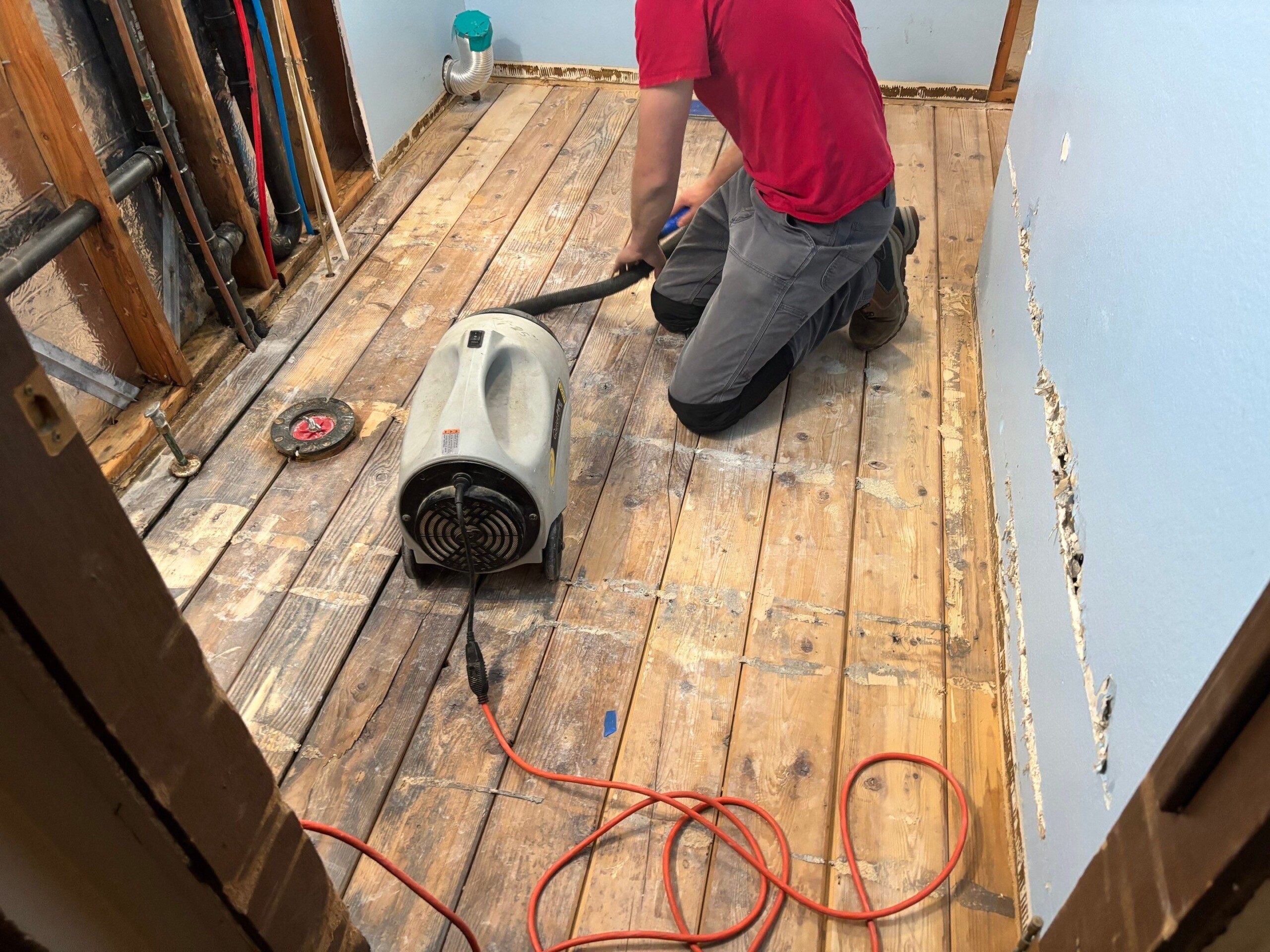 Tech working on toxic mold
