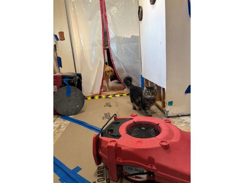 appliance leak 2