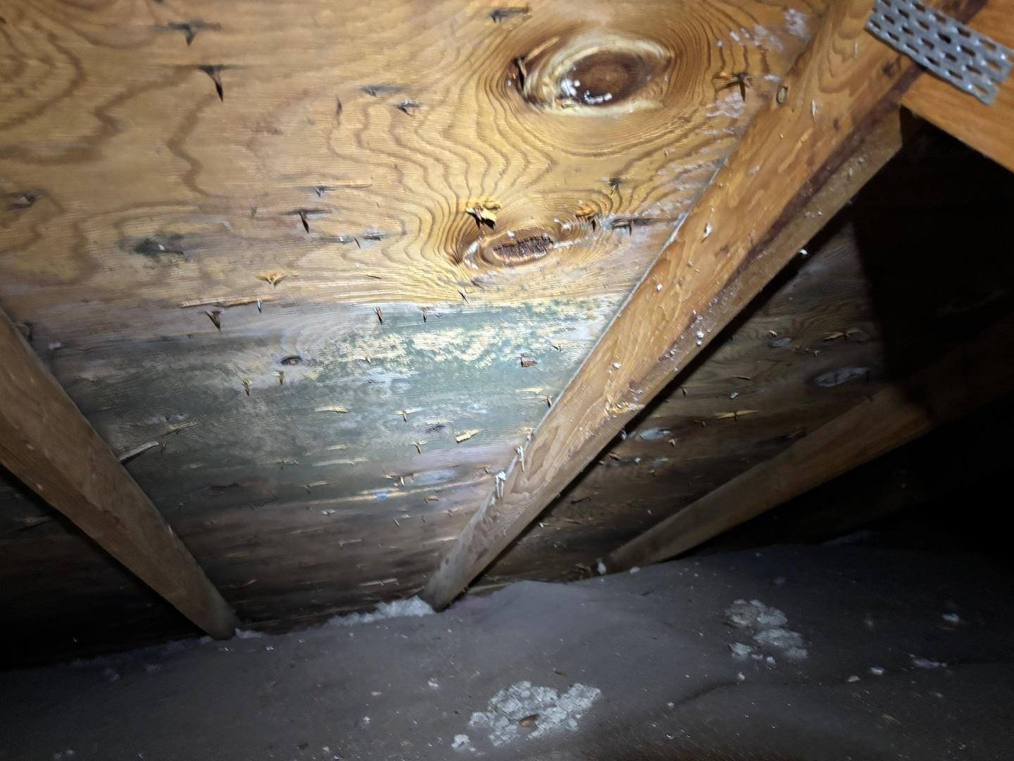 Mold Subfloor Crawl