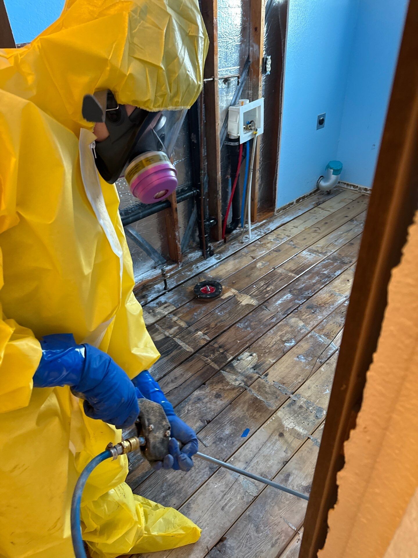 Mold remediation_10