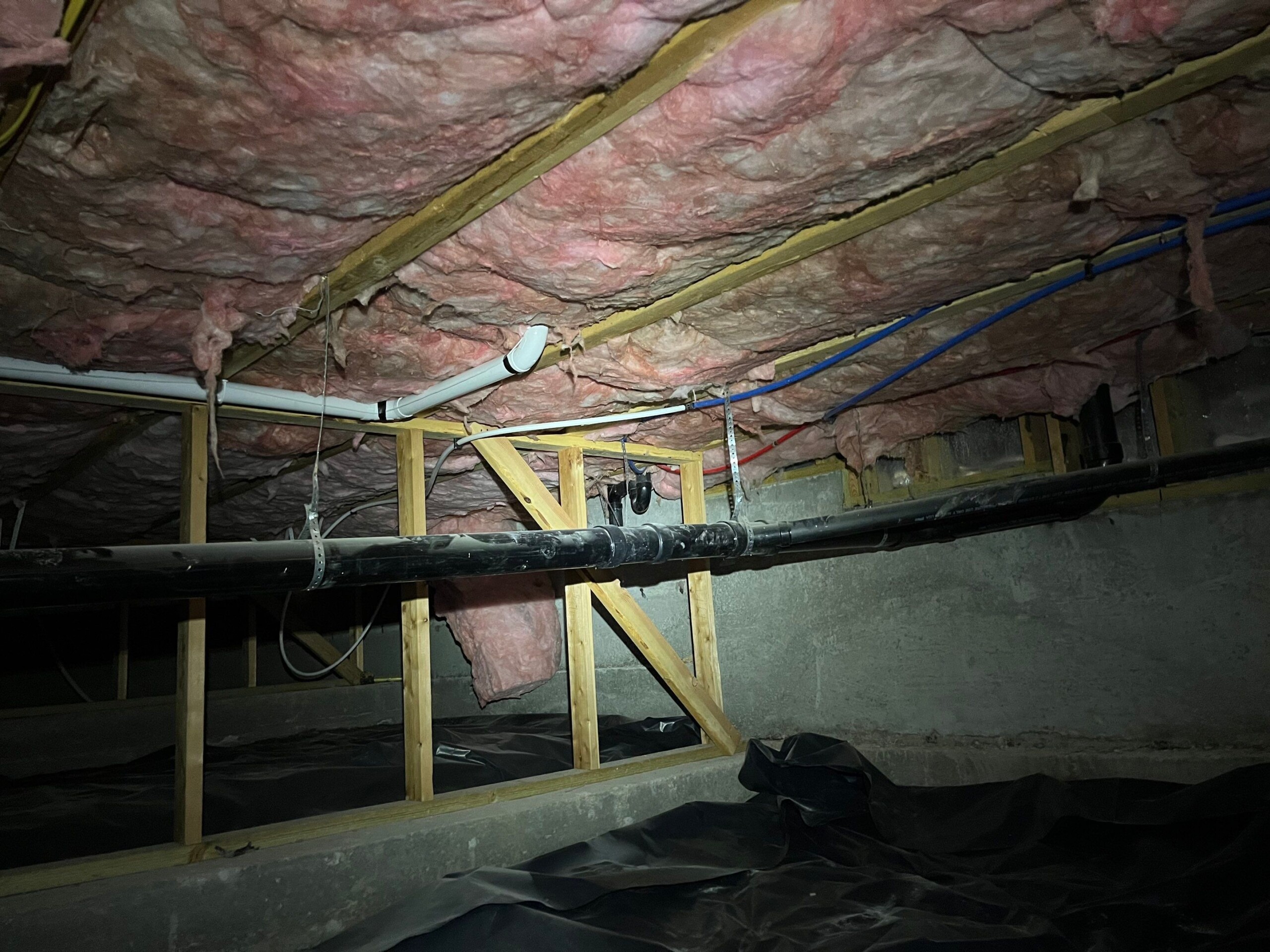 Mold under a crawlspace