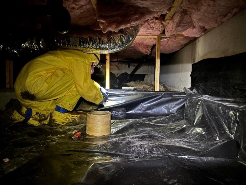 sewage cleanup in boise