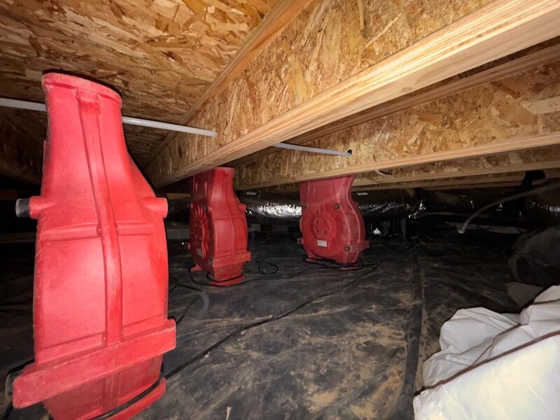 Underhouse Crawlspace Damage