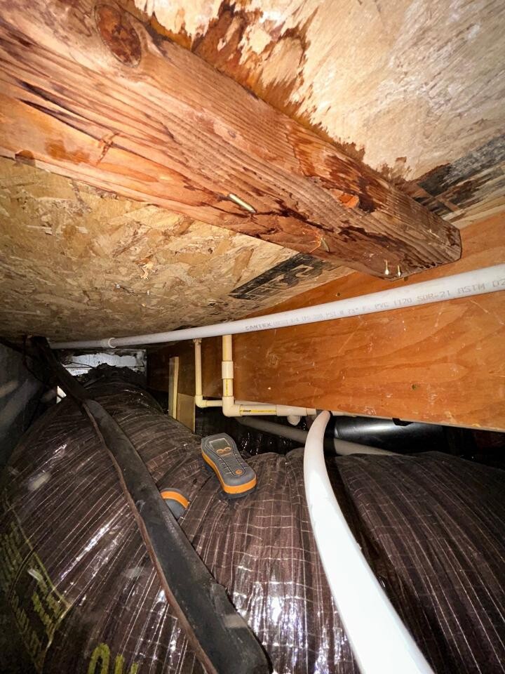 underneath floorboards crawlspace cleanup