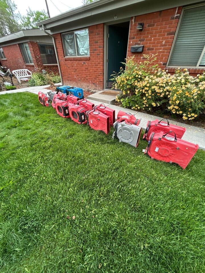 yard crawlspace cleanup 