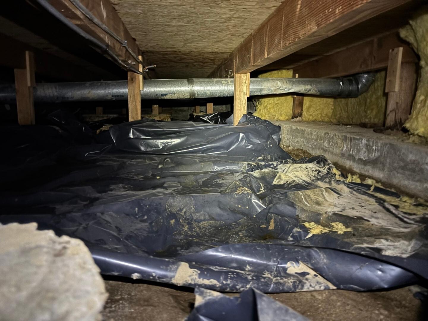 under a house crawlspace cleanup
