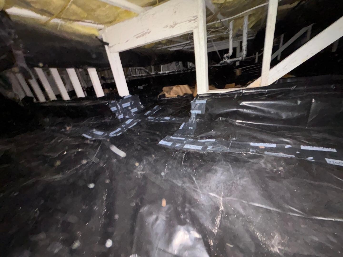 tarp crawlspace cleanup