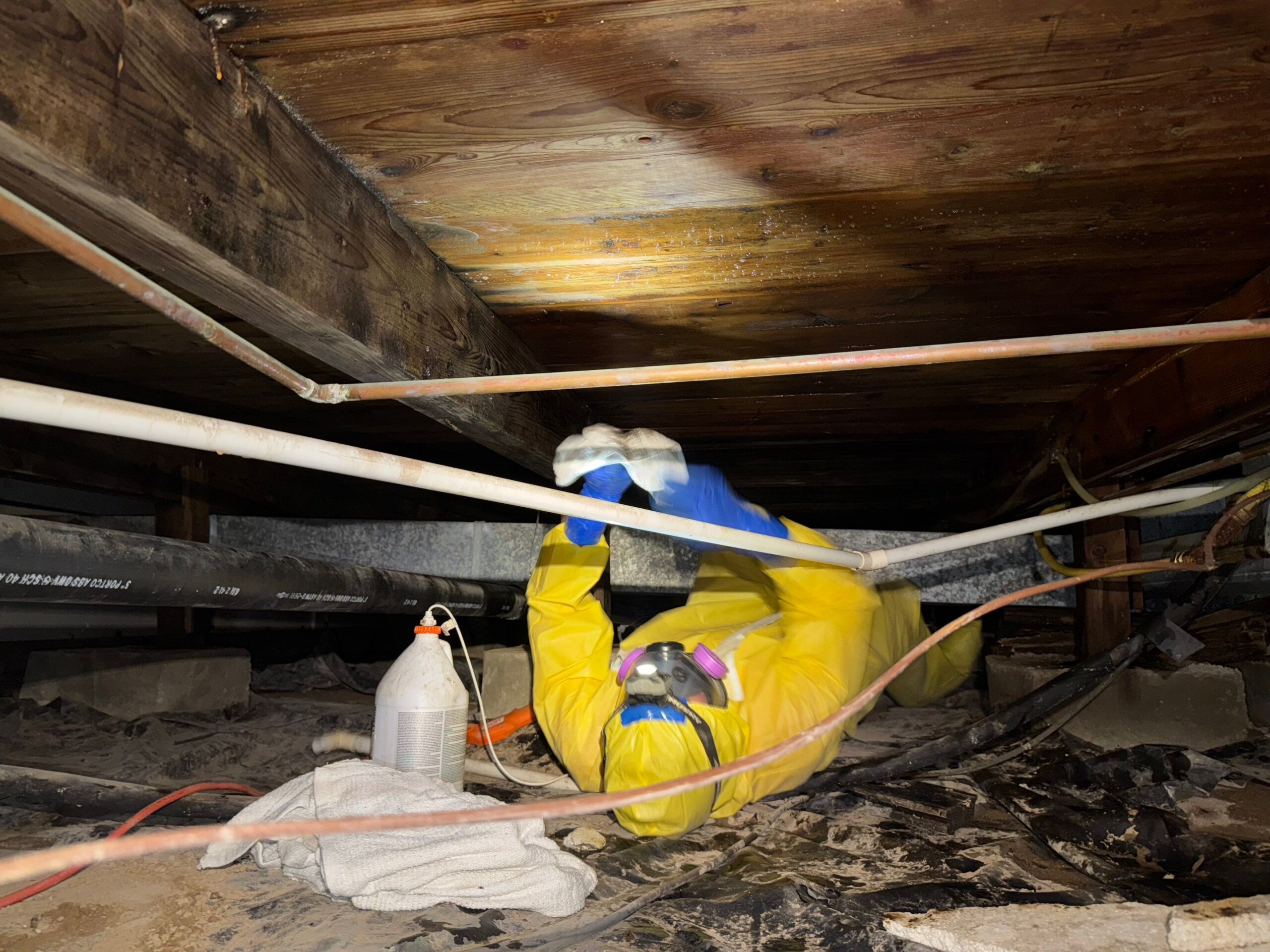 under crawlspace home inspection
