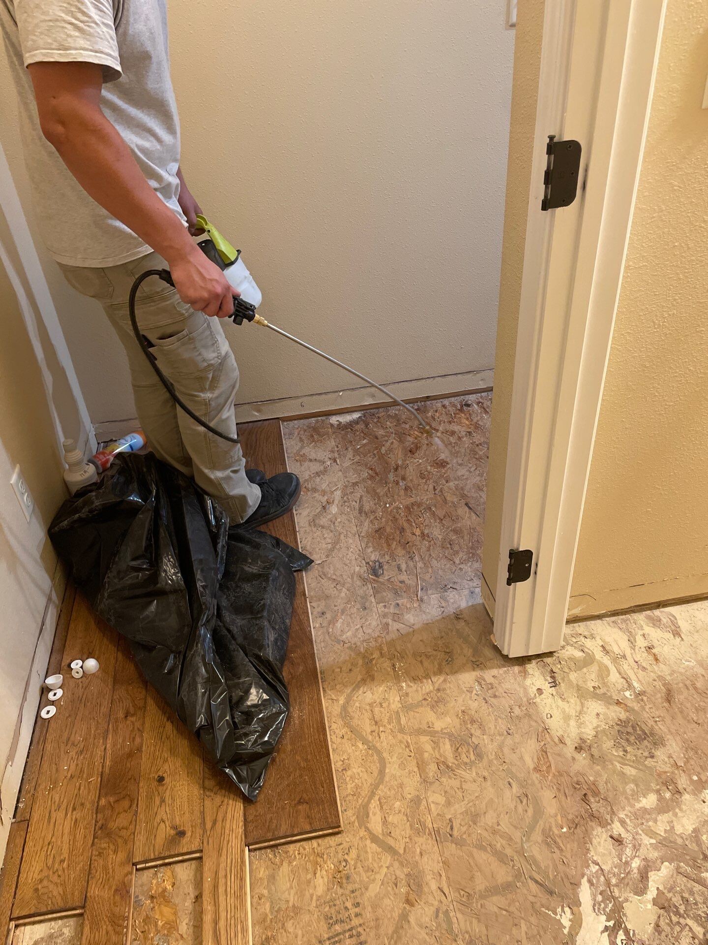 real estate home inspection mold
