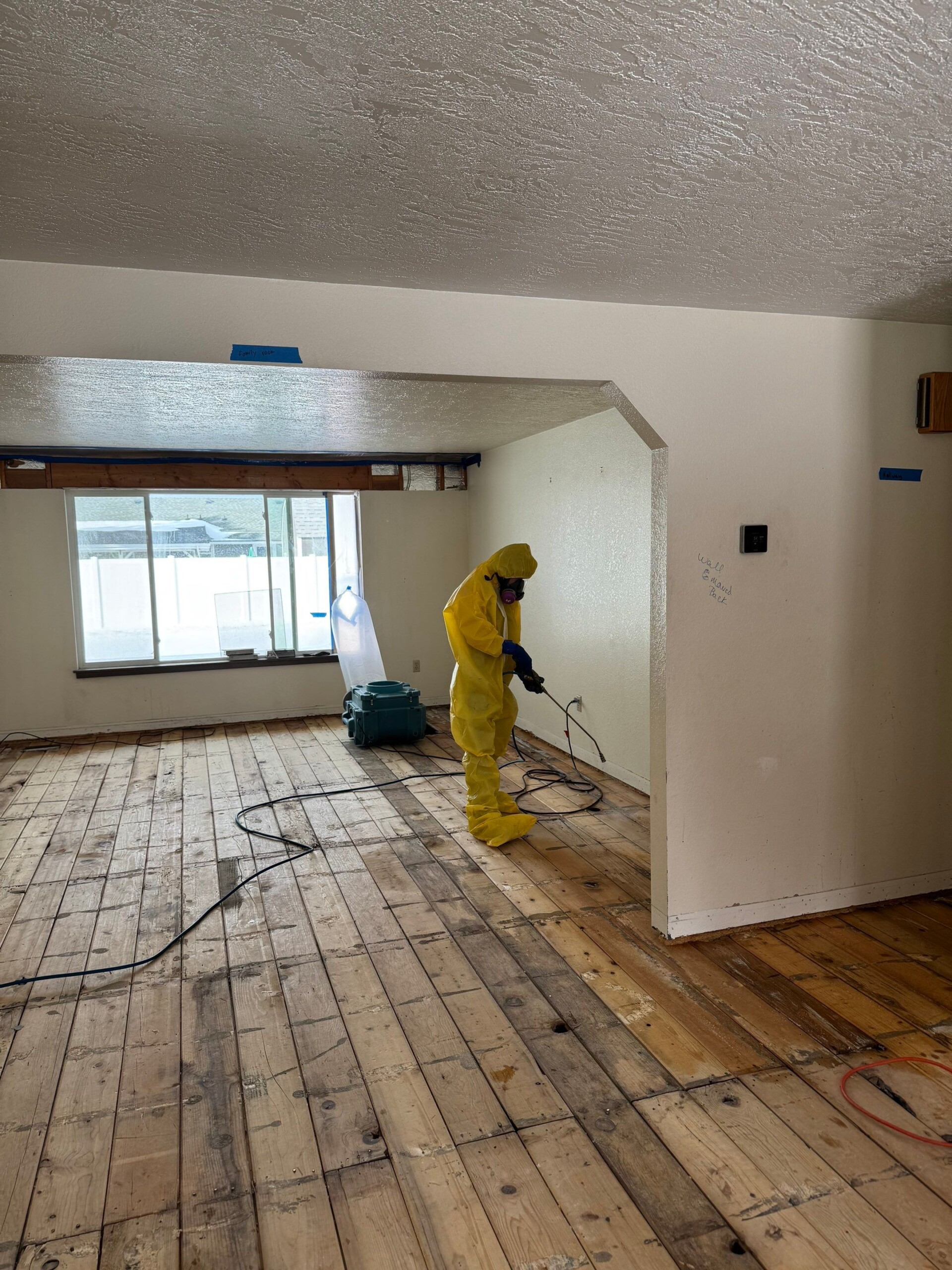 mold in real estate inspections