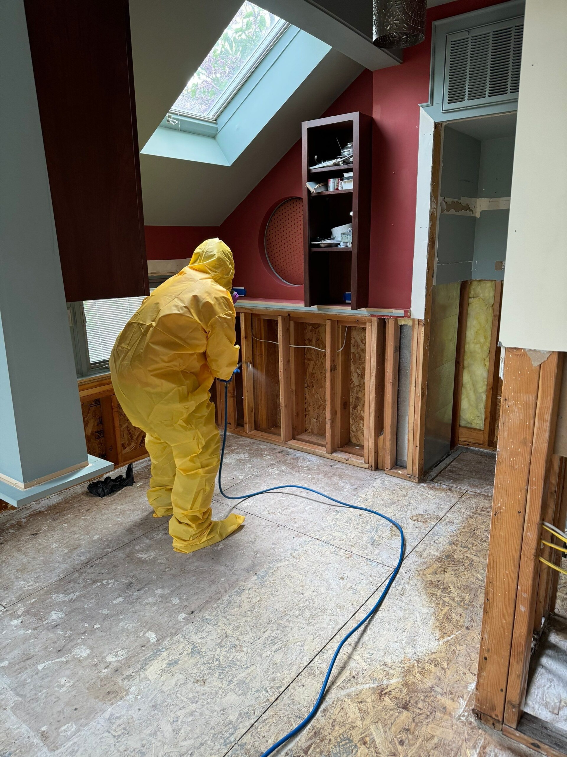 mold inspector real estate