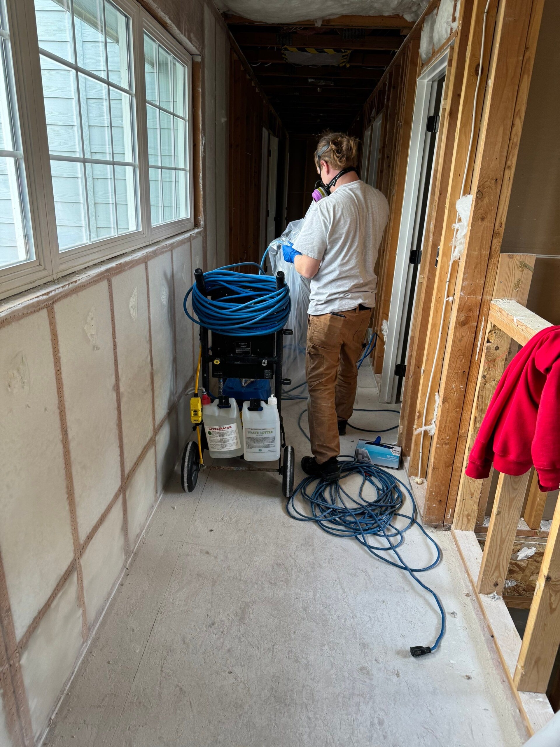 mold inspection real estate inspections