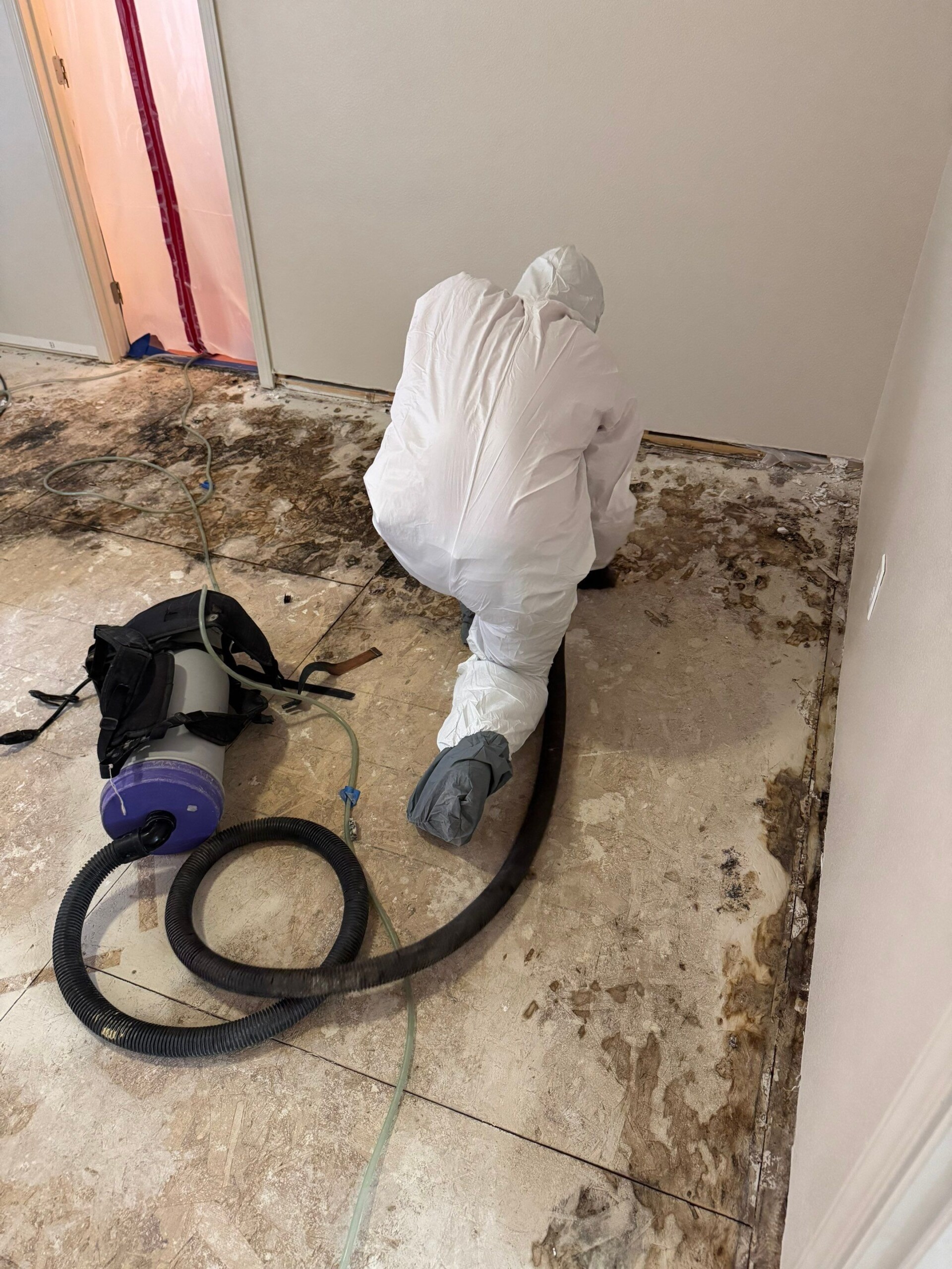 mold in new construction