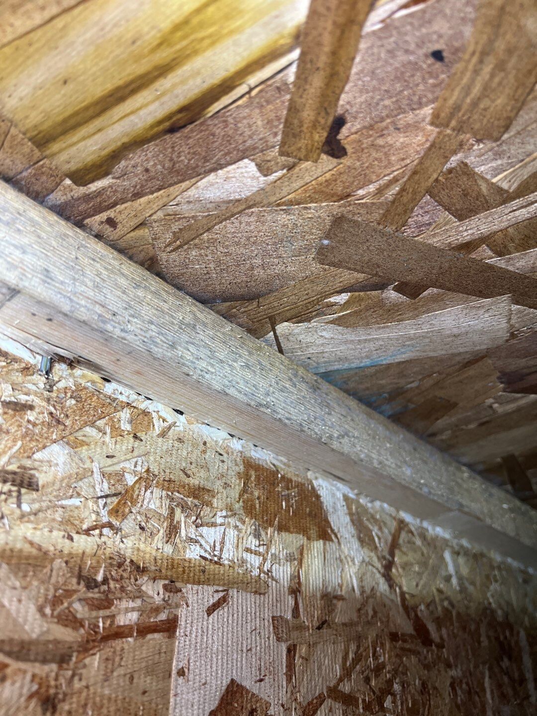 under house mold for remediation in new construction