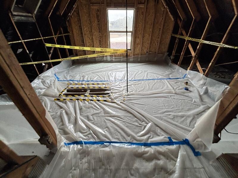 Fire and mold disaster cleanup